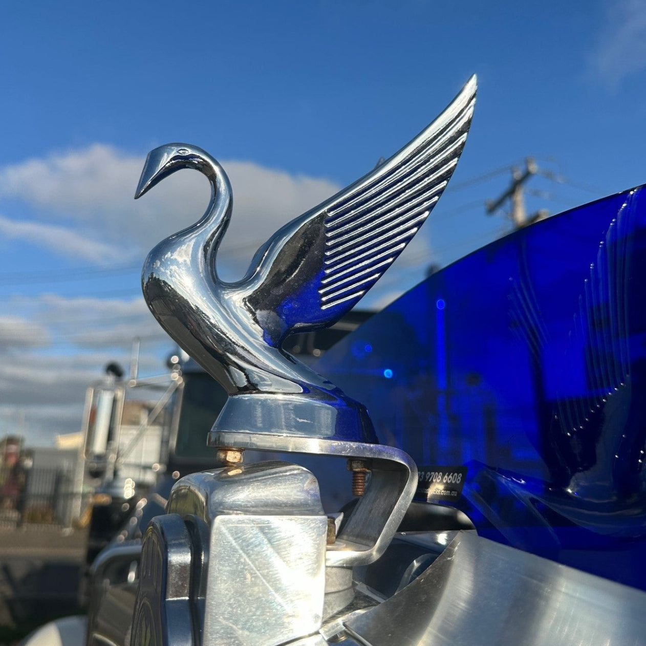 Swan Hood Ornament